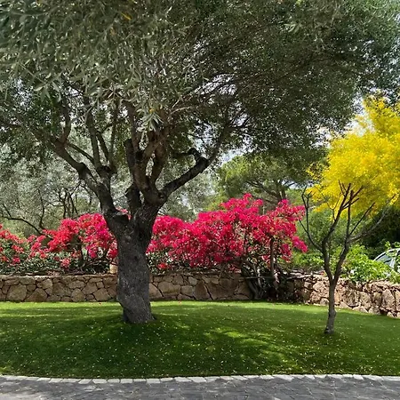 Villa Anna